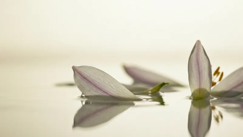 Recherche et études